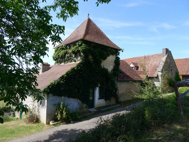 Farmhouse Charolais