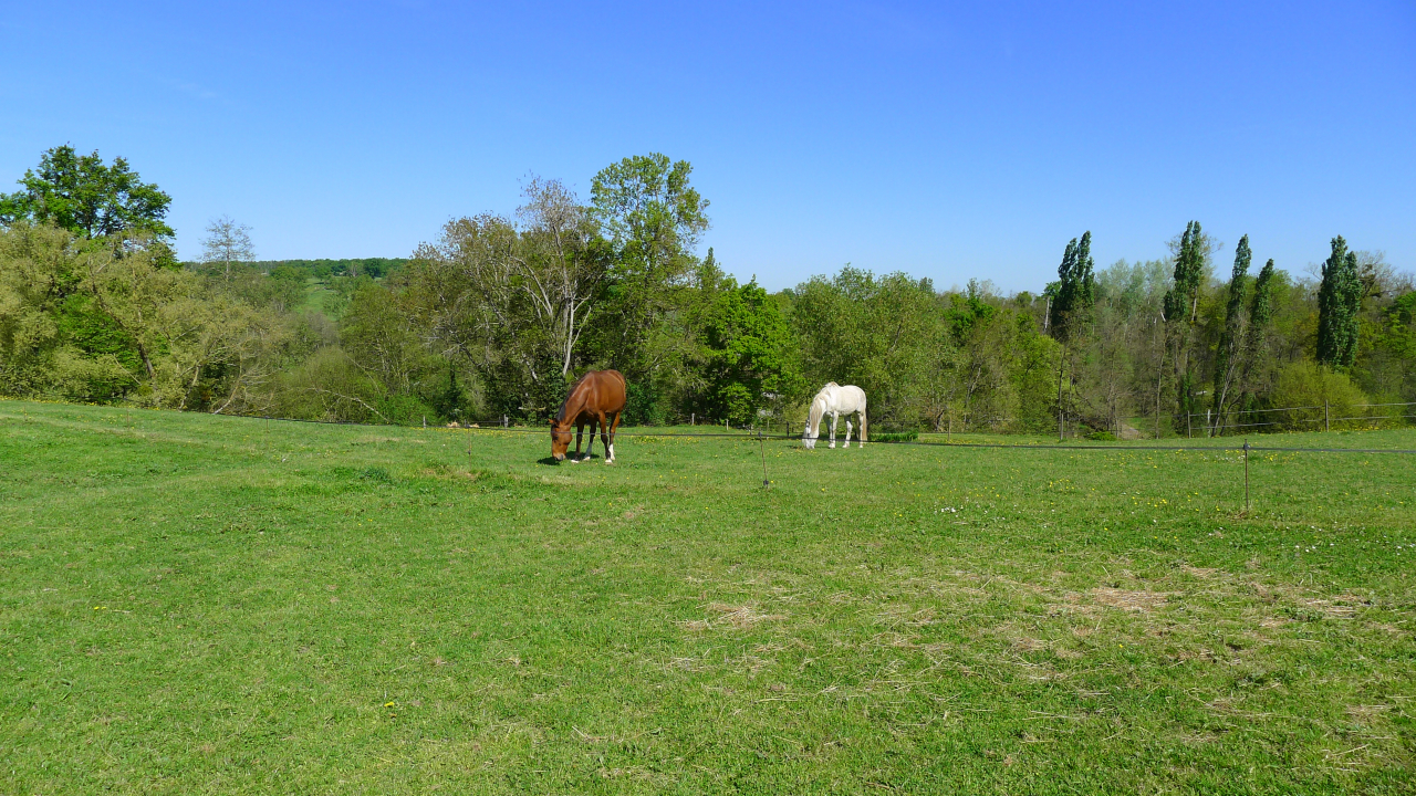 Photo Maison Brionnais - Annonce réf 1288