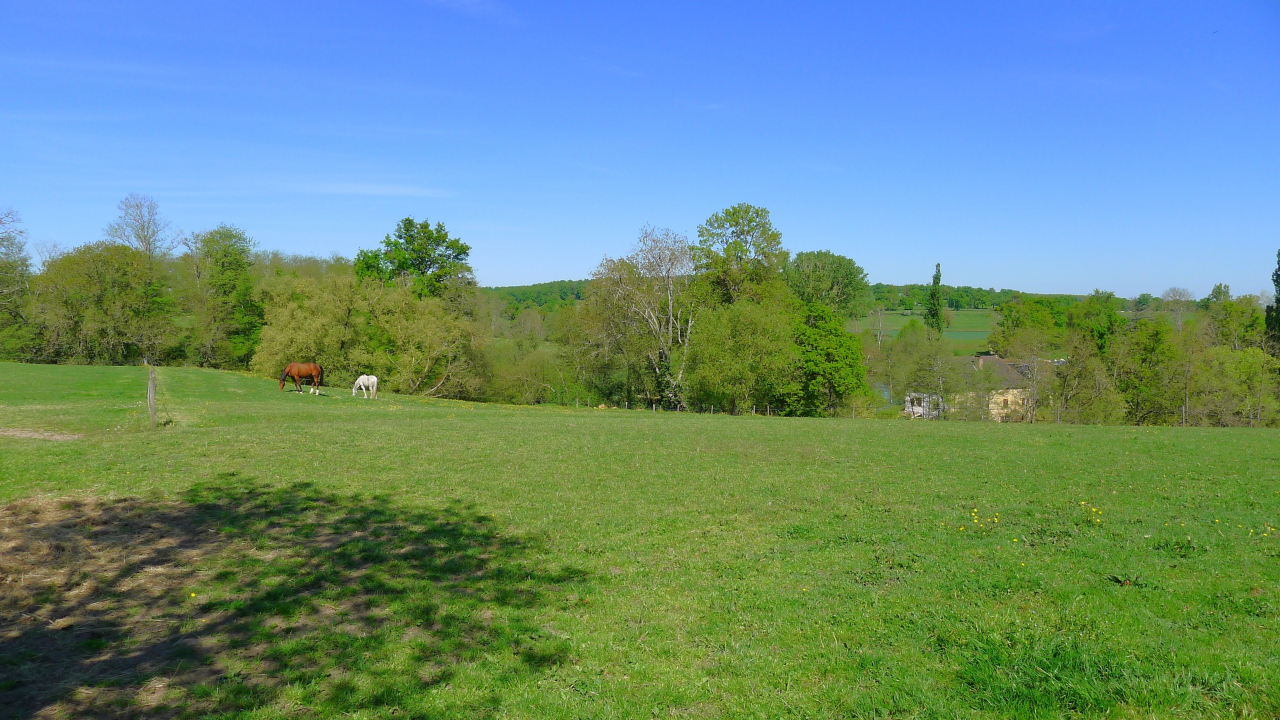 Photo Maison Brionnais - Annonce réf 1288