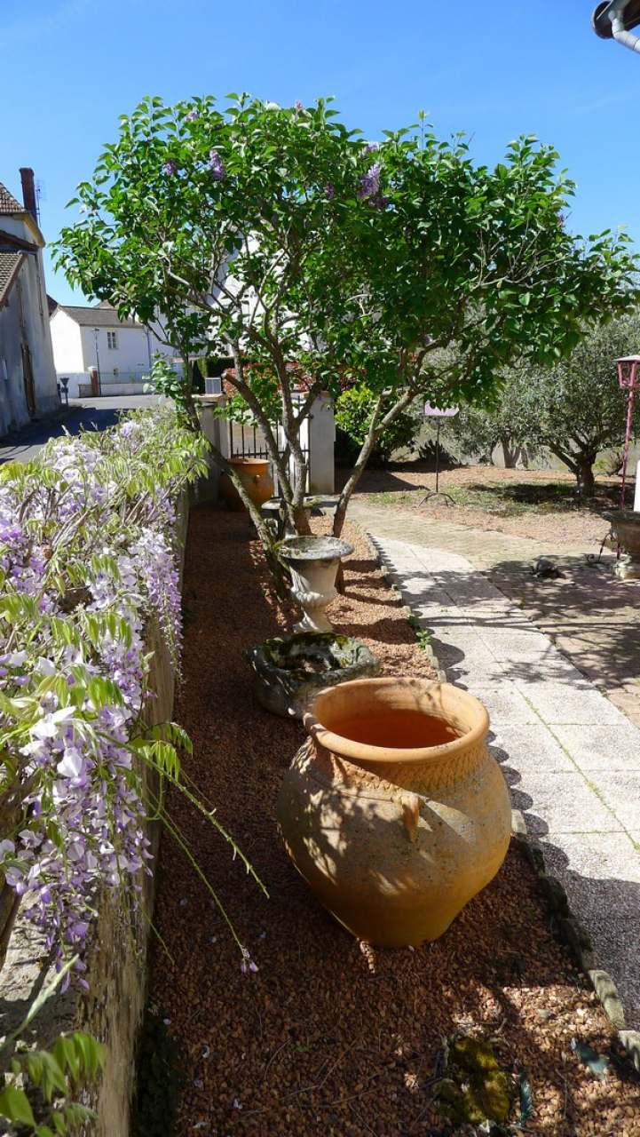 Photo Maison Brionnais - Annonce réf 1288