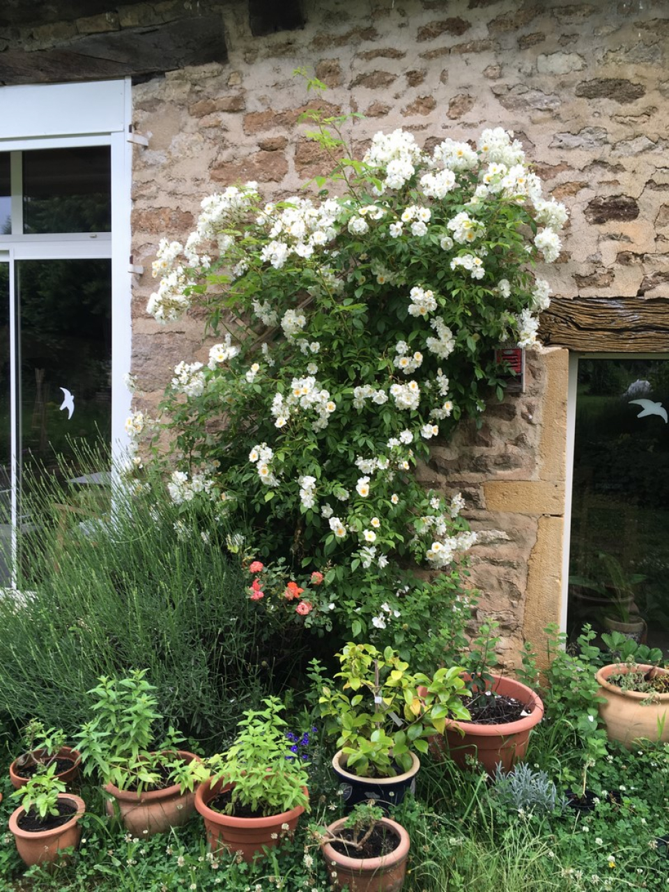 Photo Maison Brionnais - Annonce réf 1237