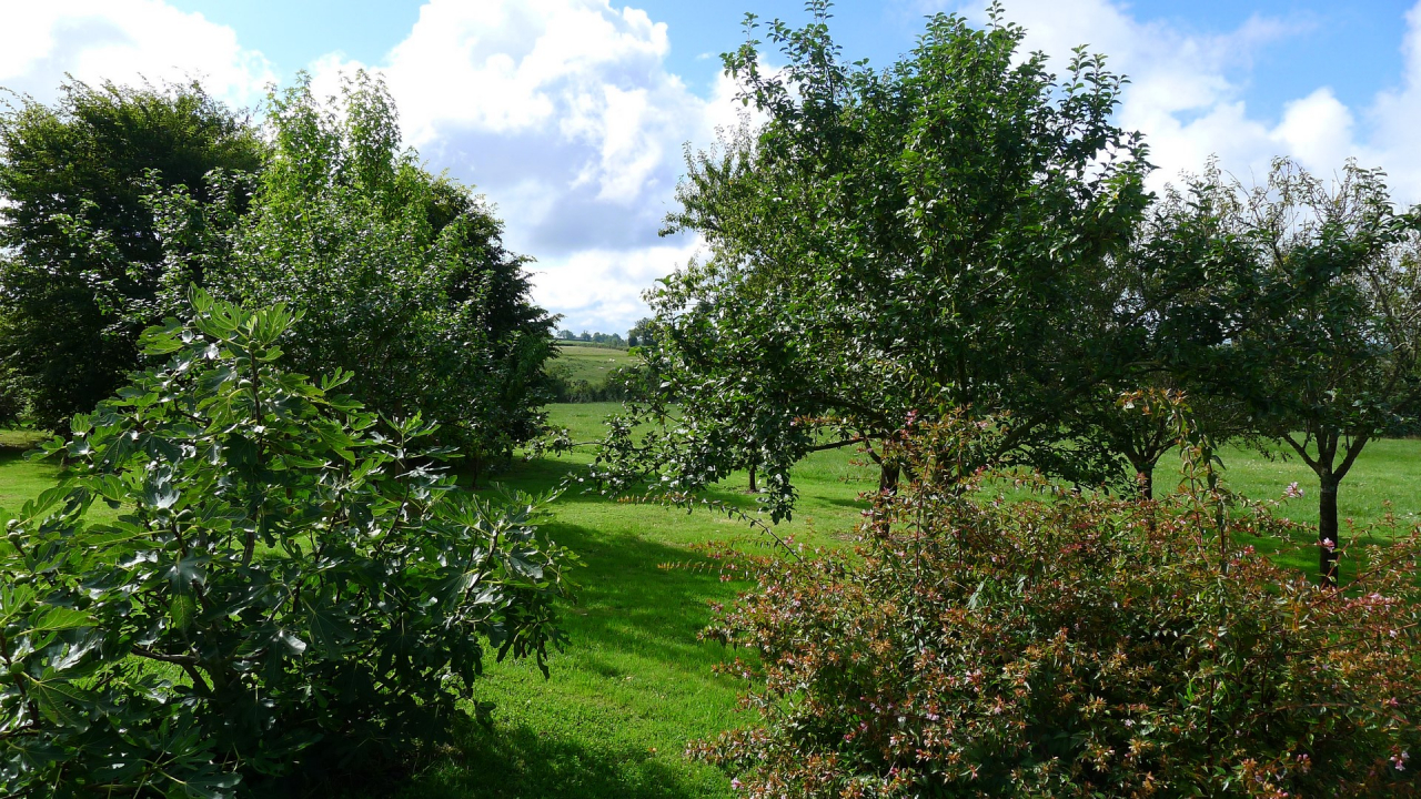 Photo Maison Brionnais - Annonce réf 1250