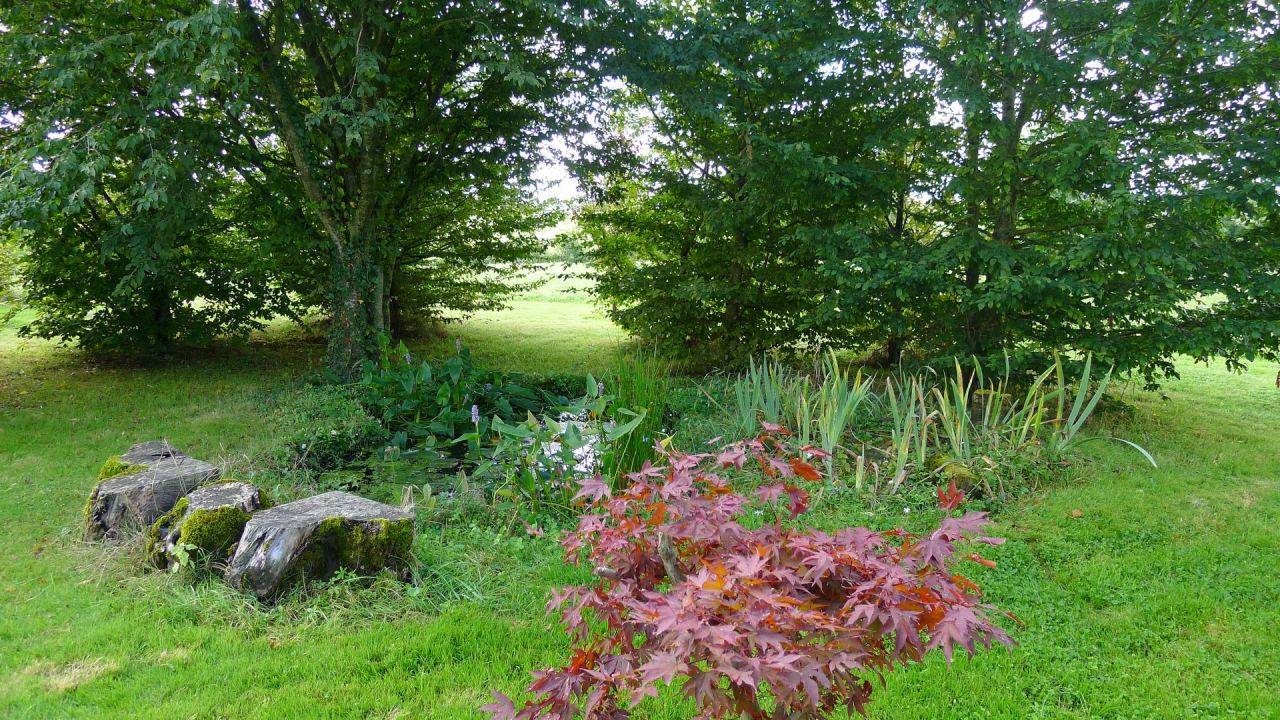 Photo Maison Brionnais - Annonce réf 1250