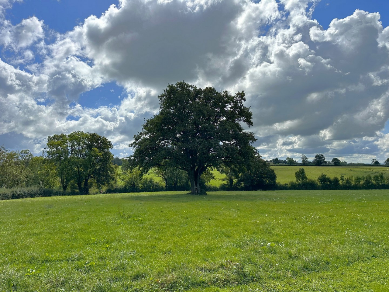 Photo Maison Brionnais - Annonce réf 1250