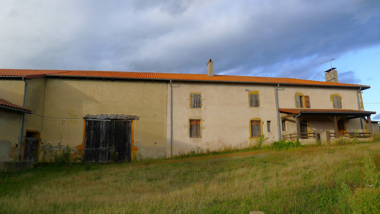 Photo Ferme Brionnais - Annonce réf 1254