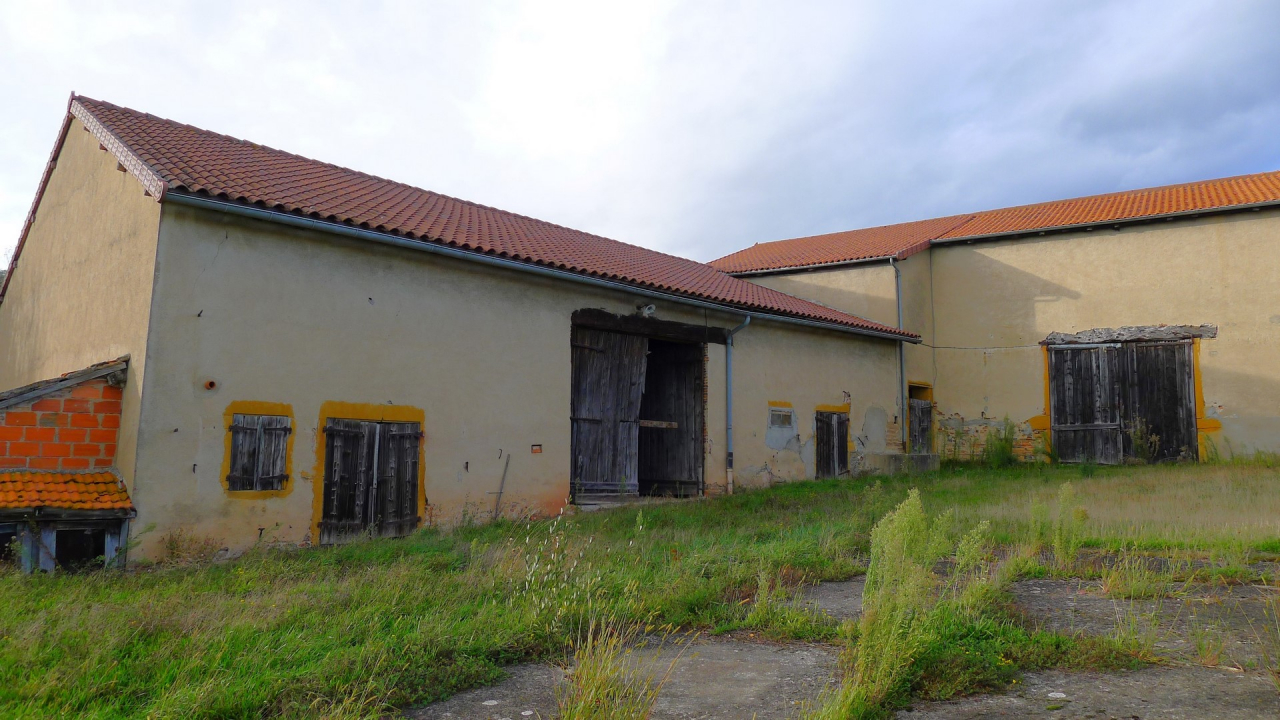 Photo Ferme Brionnais - Annonce réf 1254