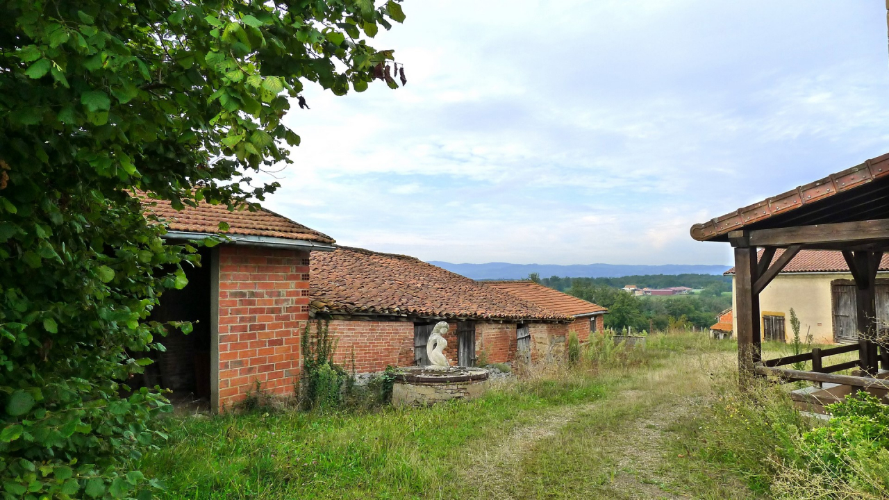 Photo Ferme Brionnais - Annonce réf 1254