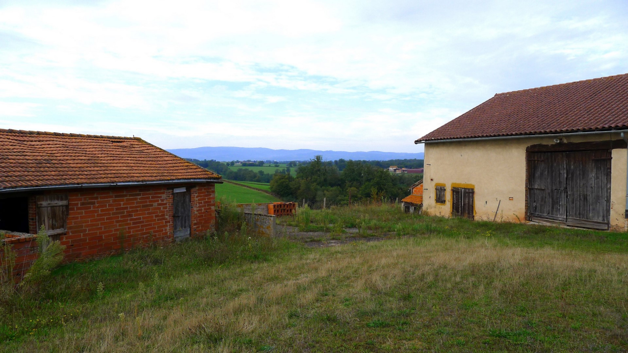 Photo Ferme Brionnais - Annonce réf 1254
