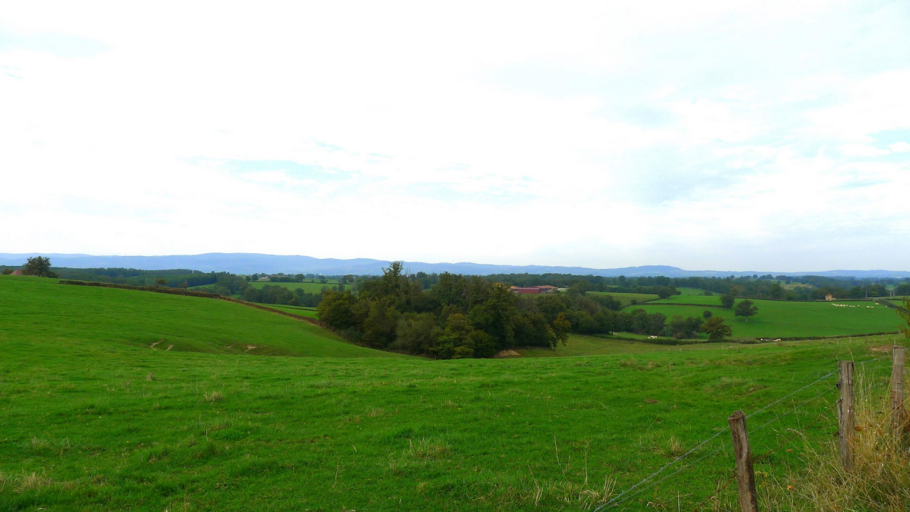 Photo Ferme Brionnais - Annonce réf 1254