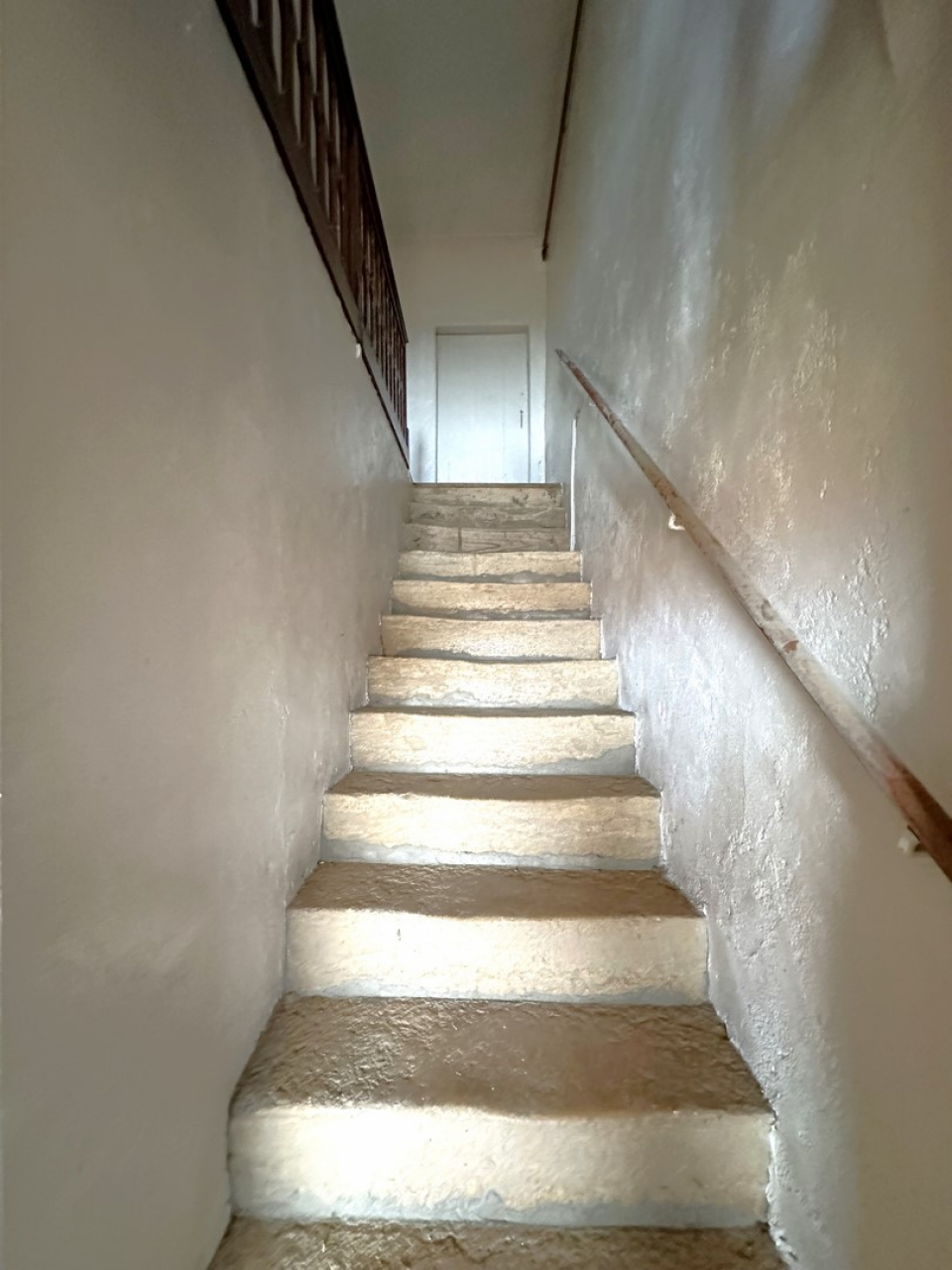 Photo Ferme Brionnais - Annonce réf 1254