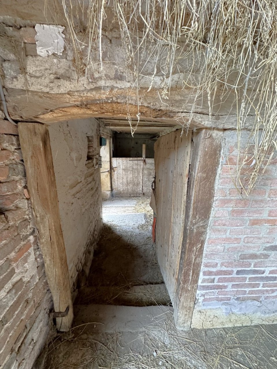 Photo Ferme Brionnais - Annonce réf 1254