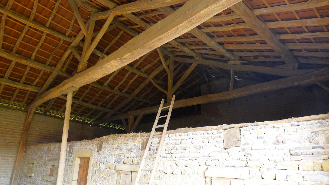 Photo Ferme Brionnais - Annonce réf 1254