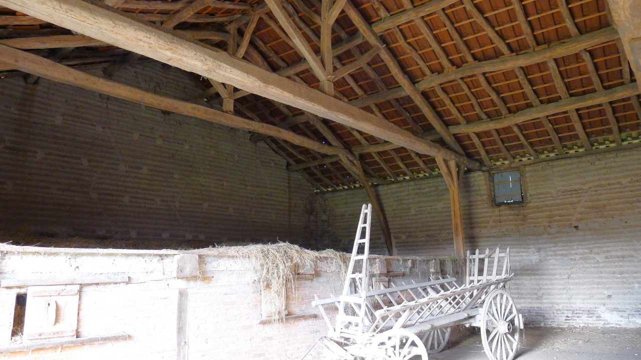 Photo Ferme Brionnais - Annonce réf 1254