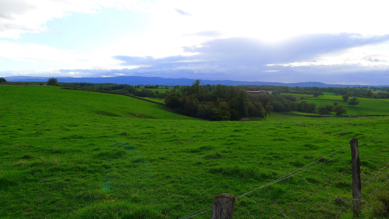 Photo Ferme Brionnais - Annonce réf 1254