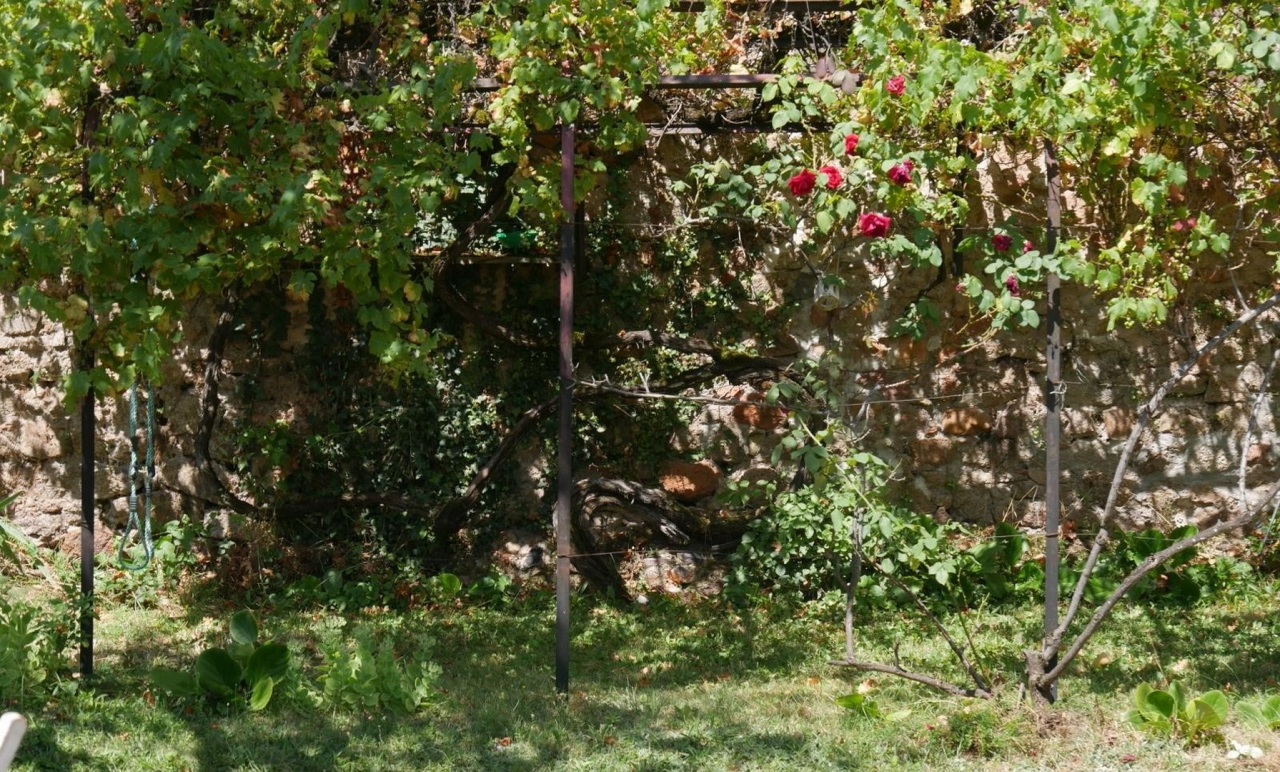 Photo Maison Côte Roannaise - Annonce réf 1260