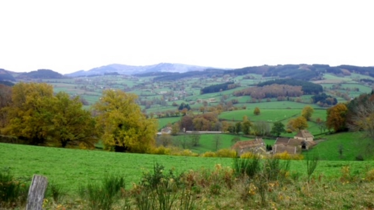 Photo Maison Brionnais - Annonce réf 1263