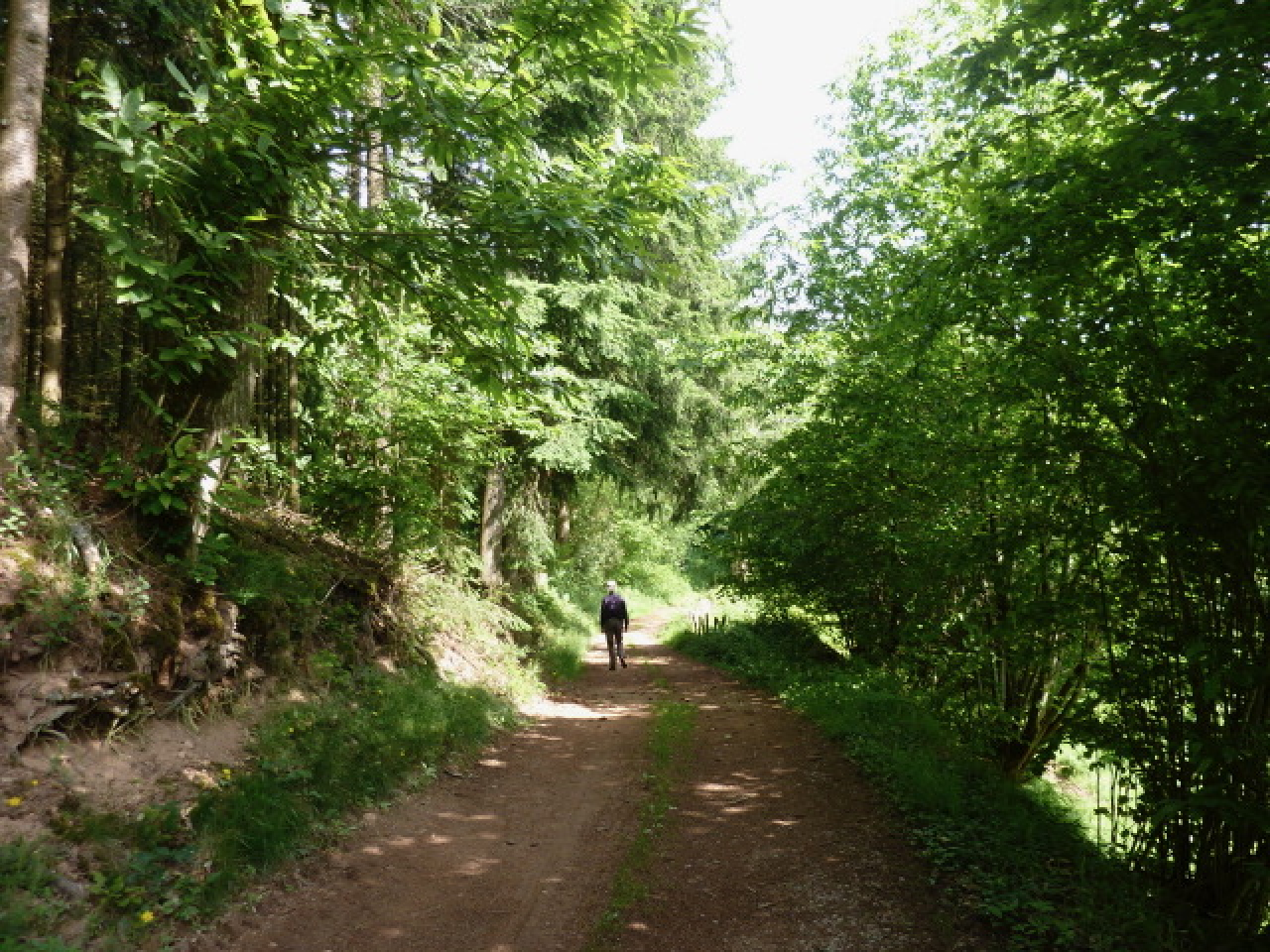 Photo Maison Brionnais - Annonce réf 1263