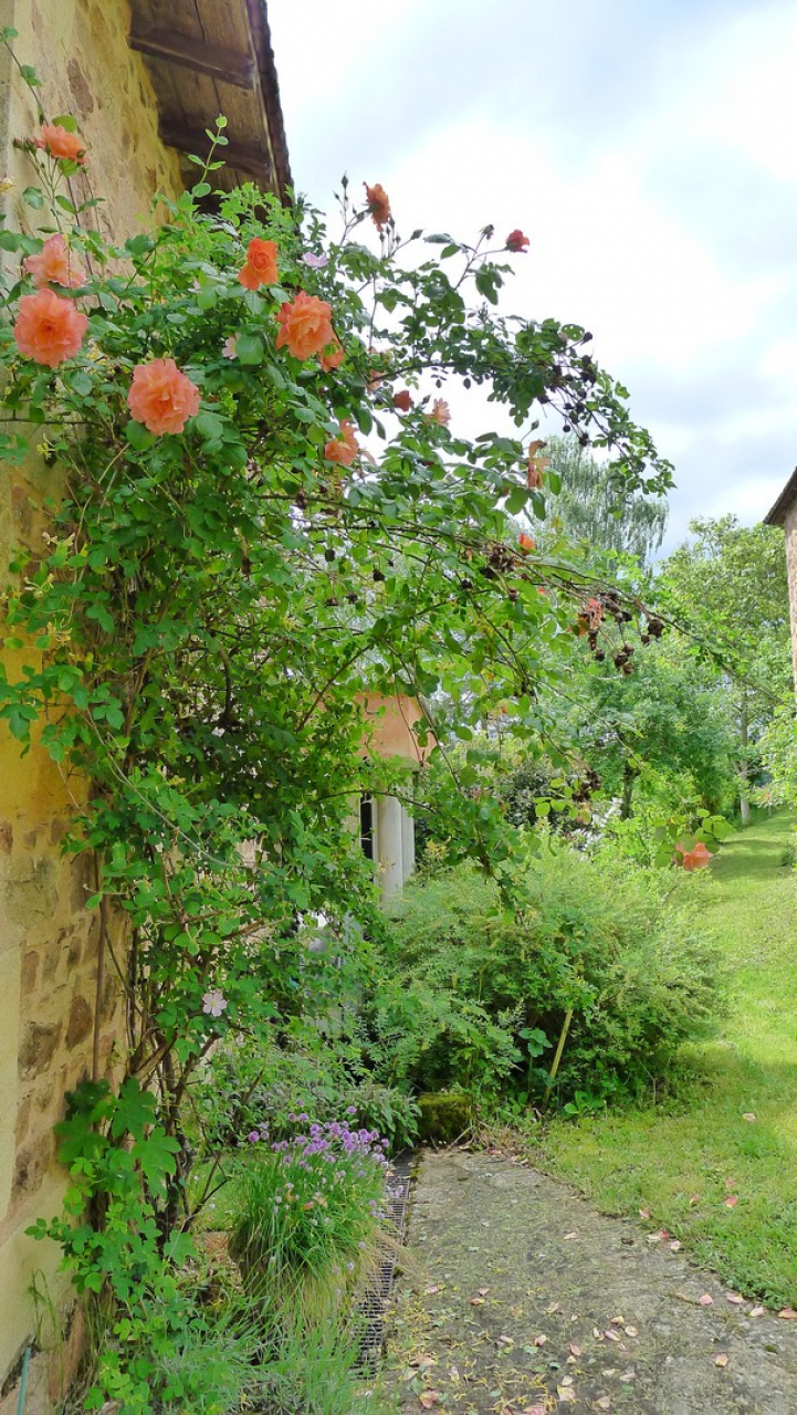 Photo Maison Brionnais - Annonce réf 1263