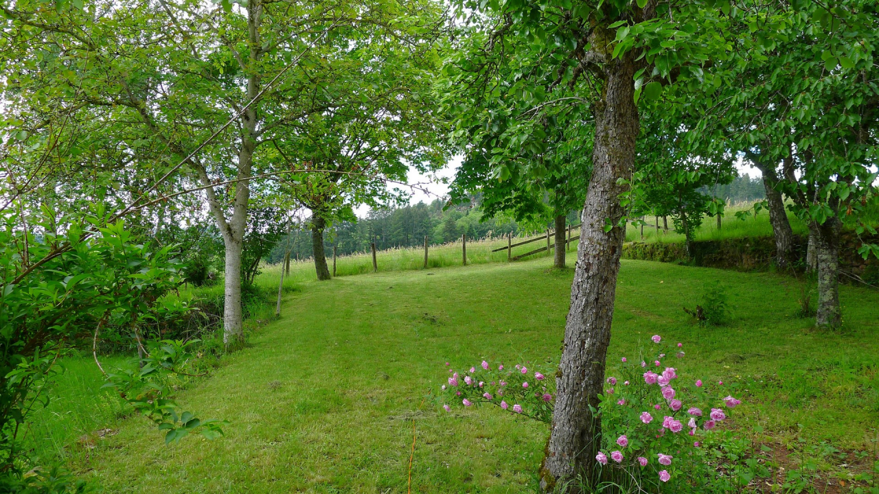 Photo Maison Brionnais - Annonce réf 1263