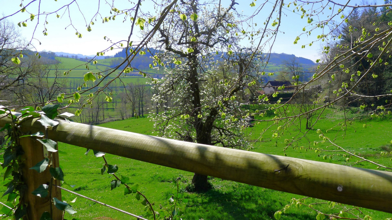 Photo Maison Brionnais - Annonce réf 1265