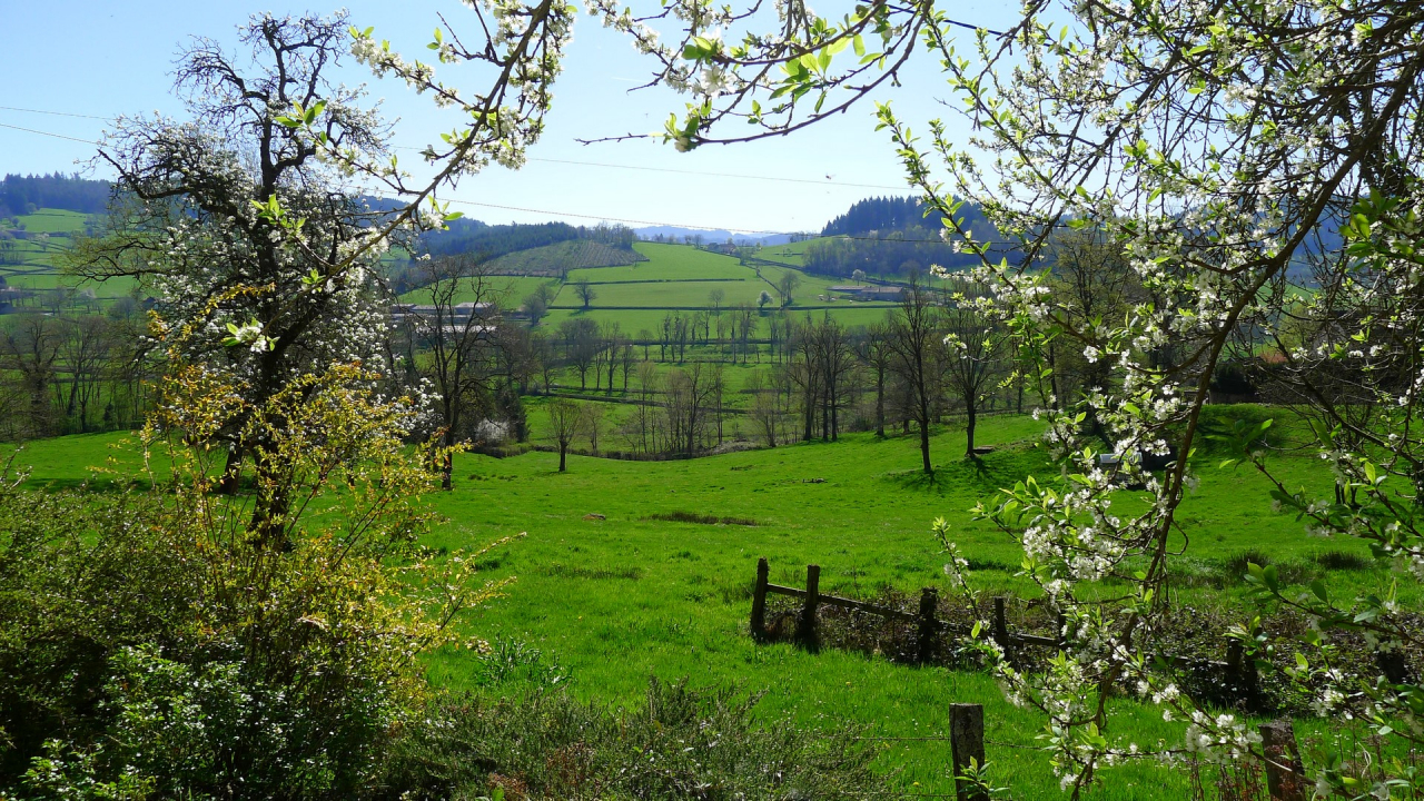 Photo Maison Brionnais - Annonce réf 1265