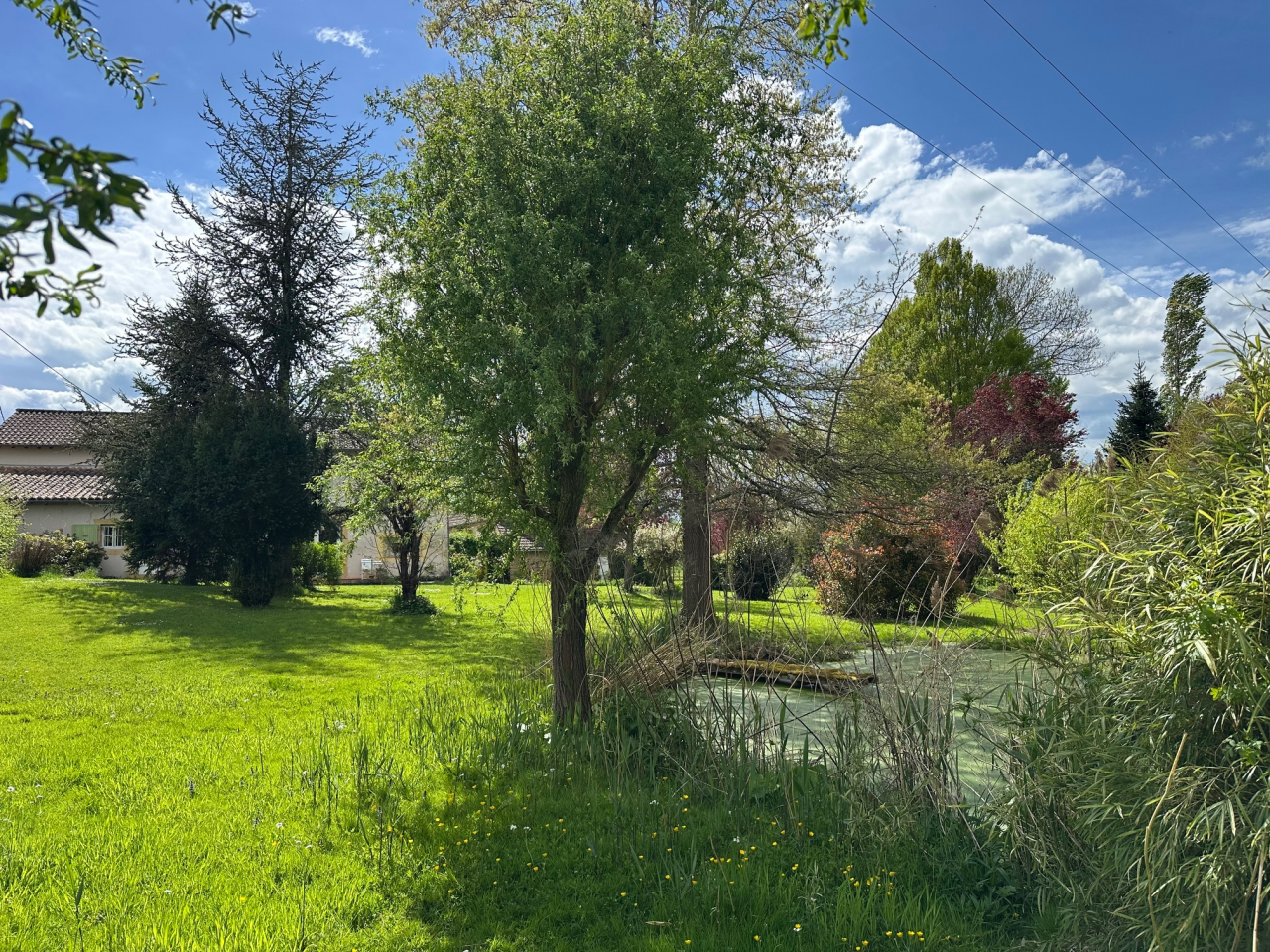 Photo Maison Brionnais - Annonce réf 1266