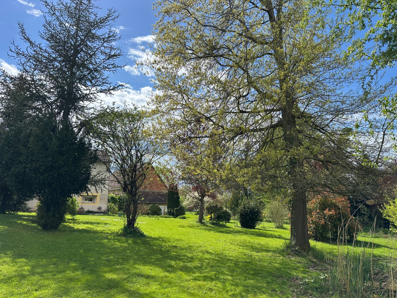 Photo Maison Brionnais - Annonce réf 1266