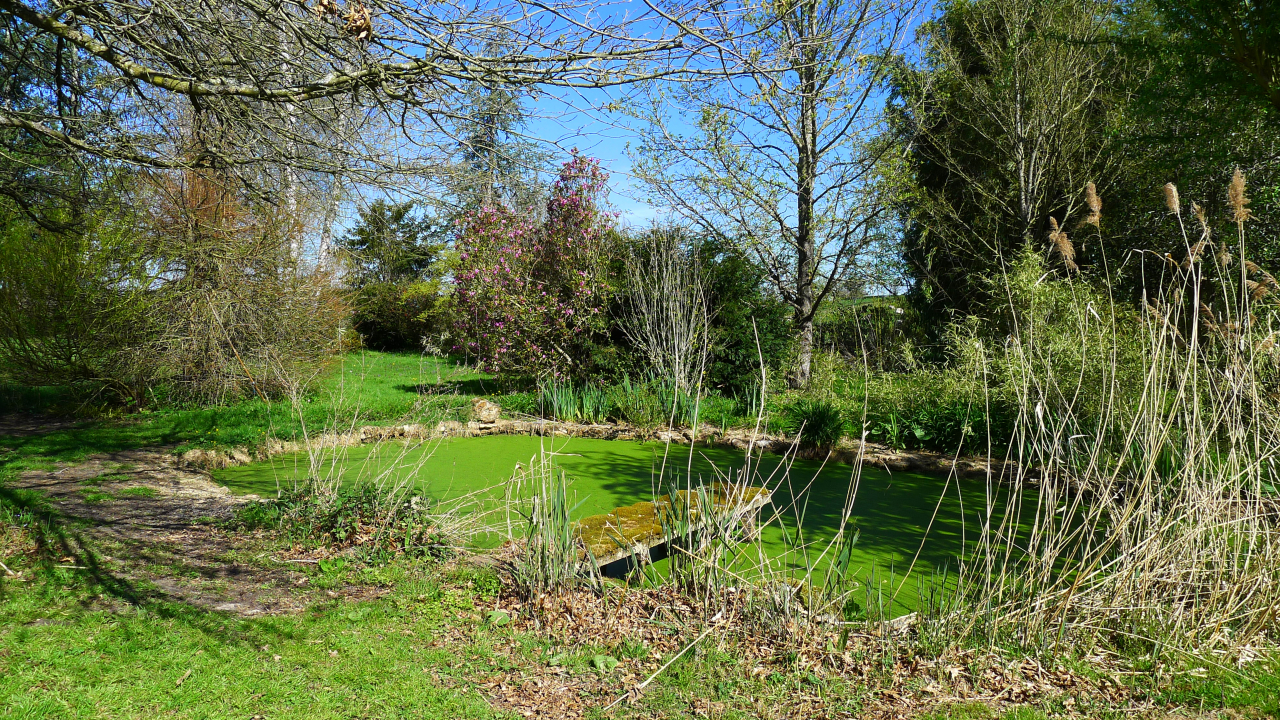 Photo Maison Brionnais - Annonce réf 1266