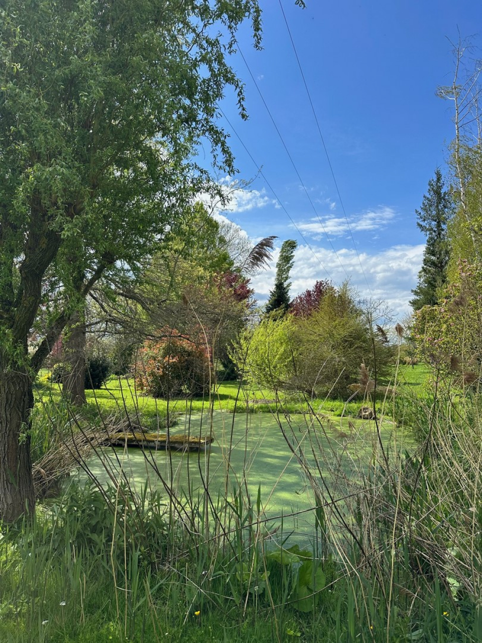 Photo Maison Brionnais - Annonce réf 1266