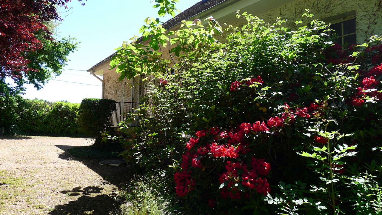 Photo Maison Brionnais - Annonce réf 1269