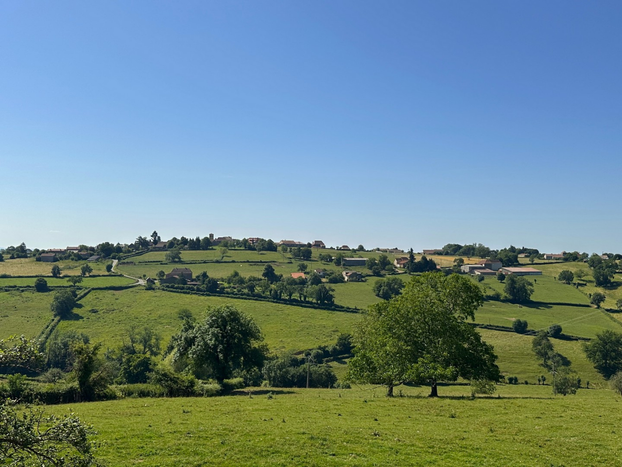 Photo Maison Brionnais - Annonce réf 1270