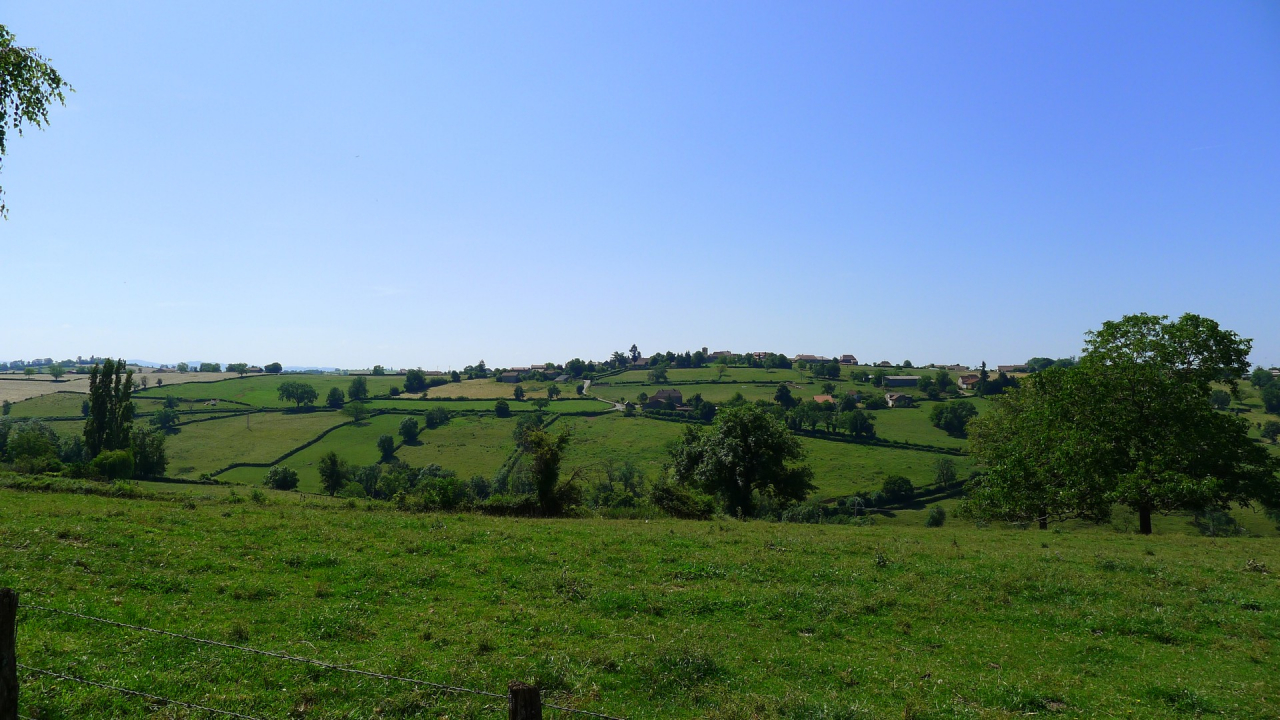 Photo Maison Brionnais - Annonce réf 1270