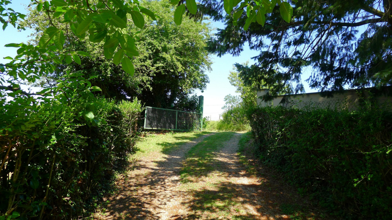 Photo Maison Brionnais - Annonce réf 1270