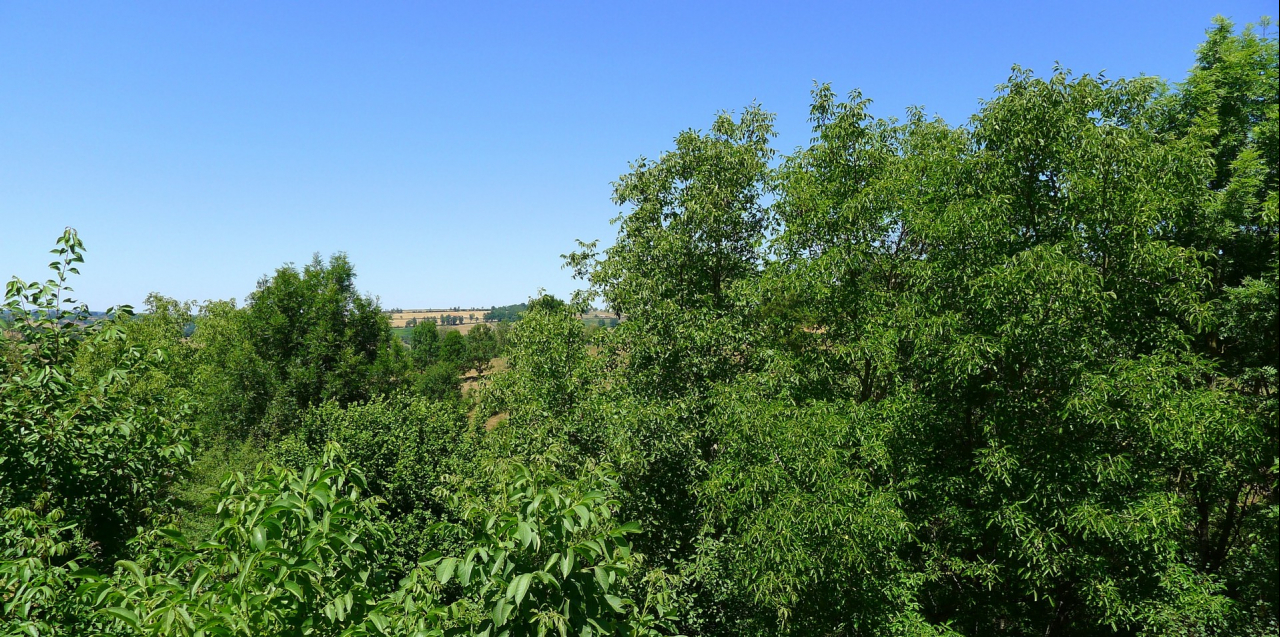 Photo Maison Pays de Charlieu - Annonce réf 1273