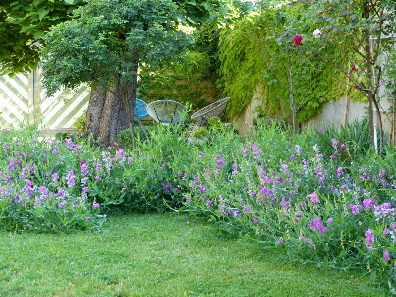 Photo Maison Brionnais - Annonce réf 1277