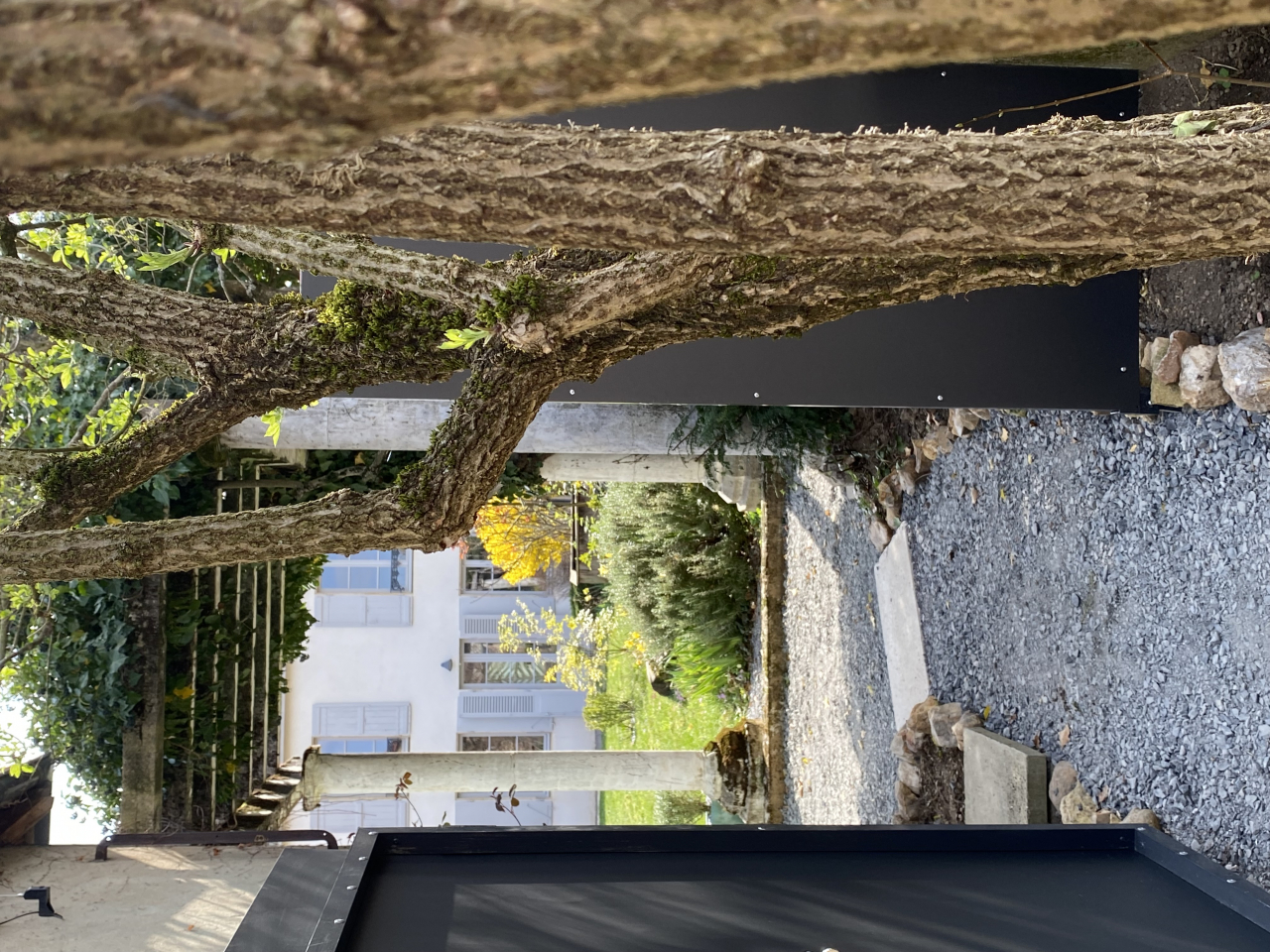 Photo Maison Brionnais - Annonce réf 1277