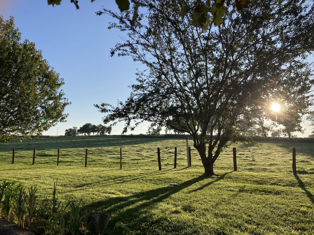 Photo Maison Charolais - Annonce réf 1279