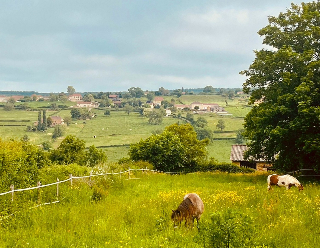 Photo Maison Brionnais - Annonce réf 1281