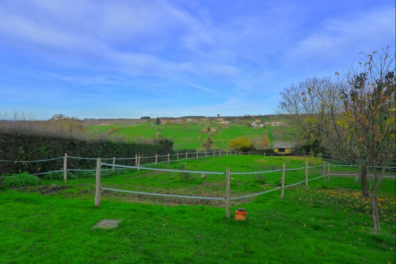 Photo Maison Brionnais - Annonce réf 1281