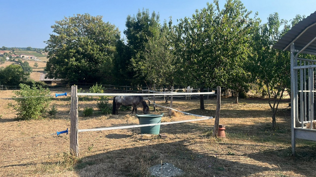 Photo Maison Brionnais - Annonce réf 1281