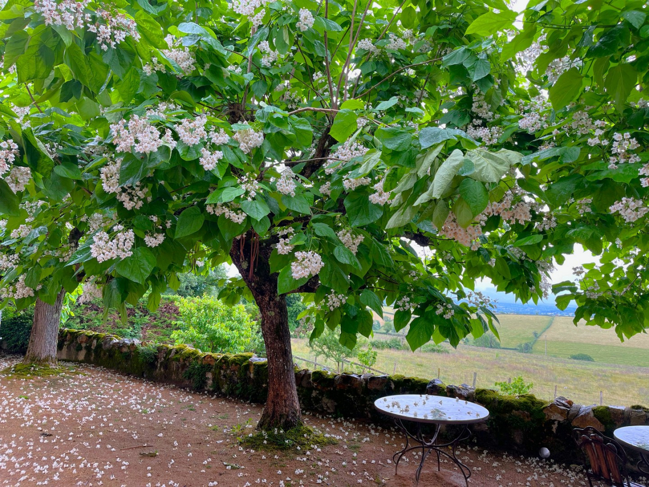 Photo Maison Brionnais - Annonce réf 1283