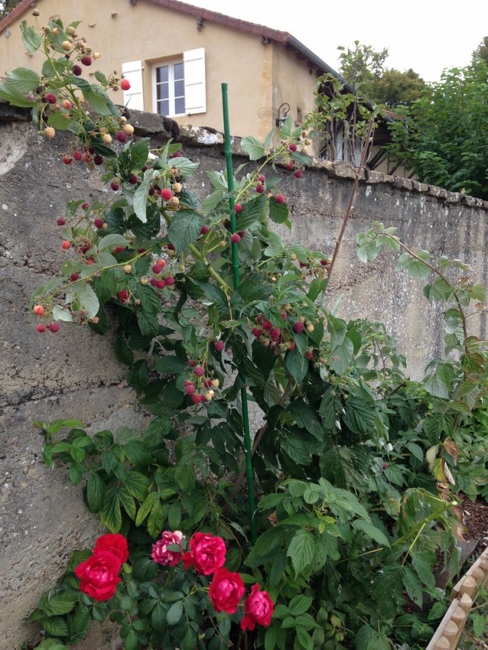 Photo Maison Brionnais - Annonce réf 1283