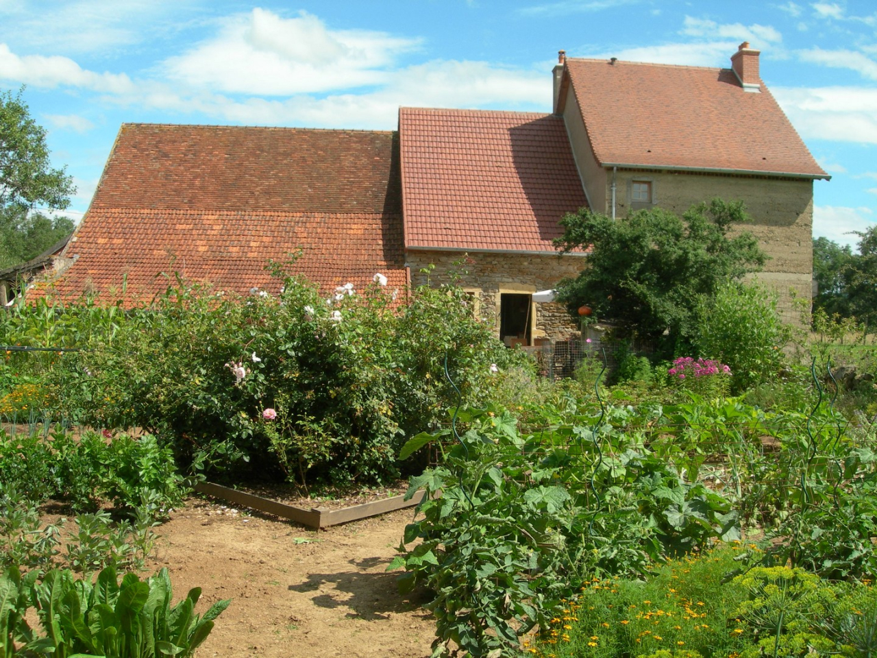 Photo Maison Brionnais - Annonce réf 1284