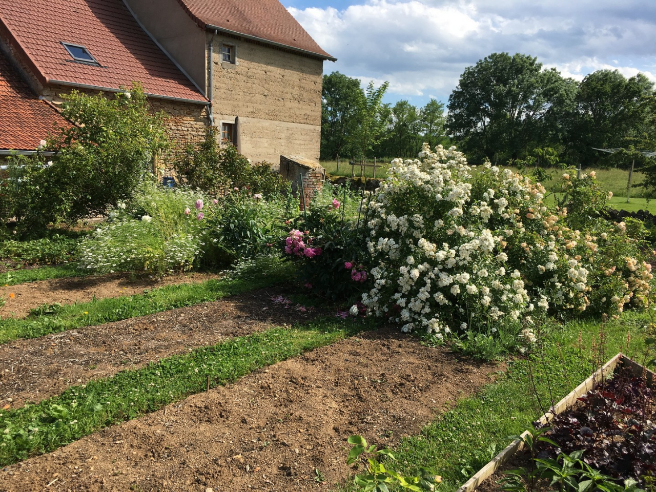 Photo Maison Brionnais - Annonce réf 1284