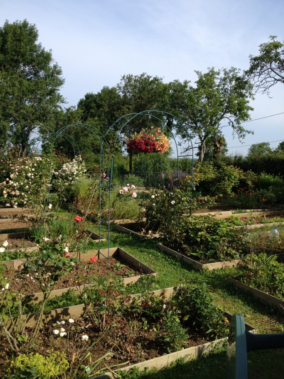 Photo Maison Brionnais - Annonce réf 1284