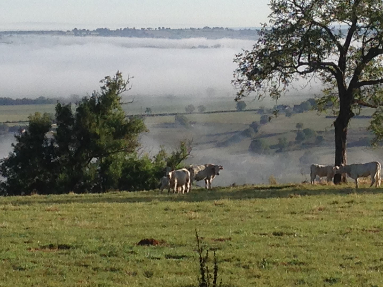 Photo Maison Brionnais - Annonce réf 1284