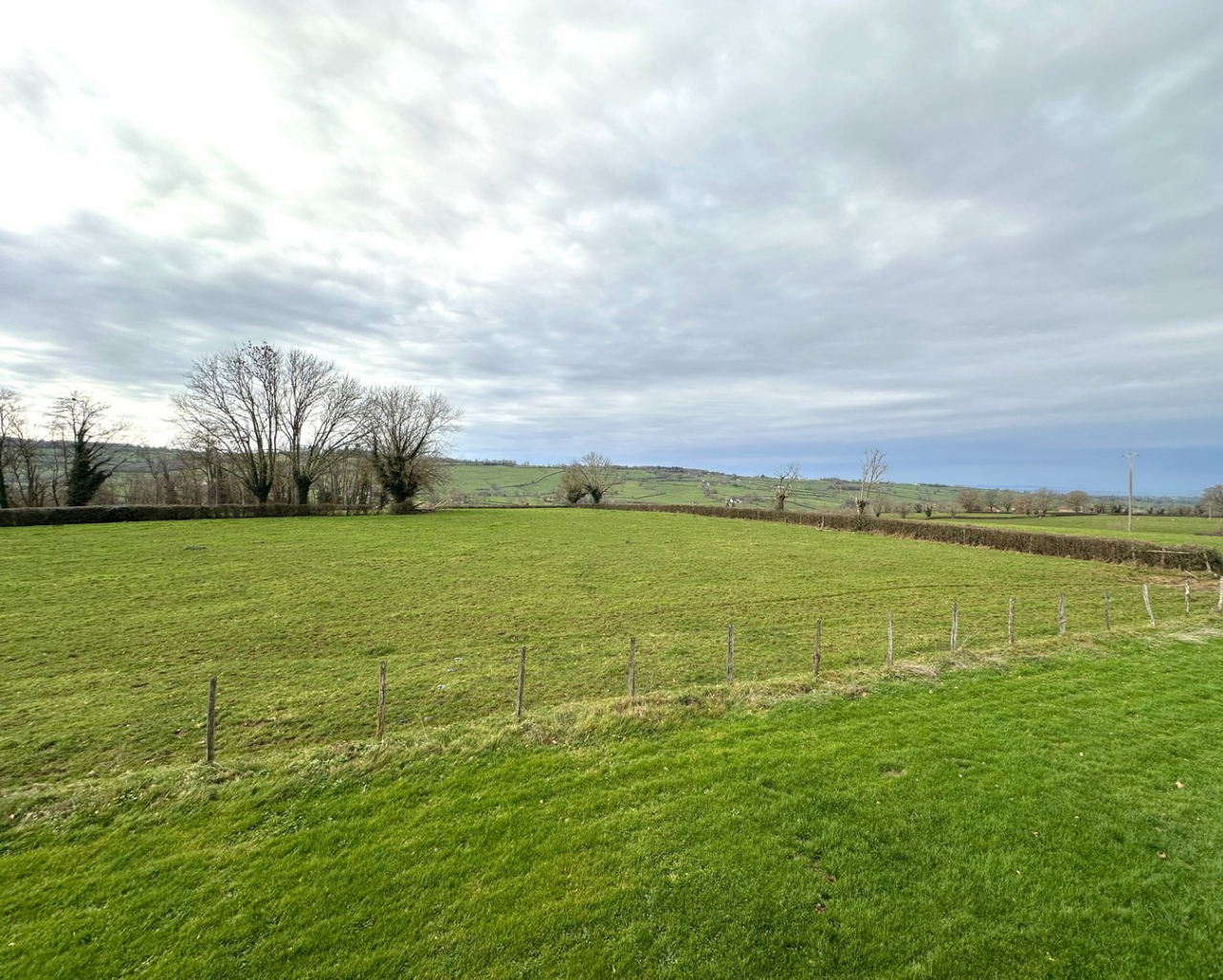 Photo Maison Brionnais - Annonce réf 1284