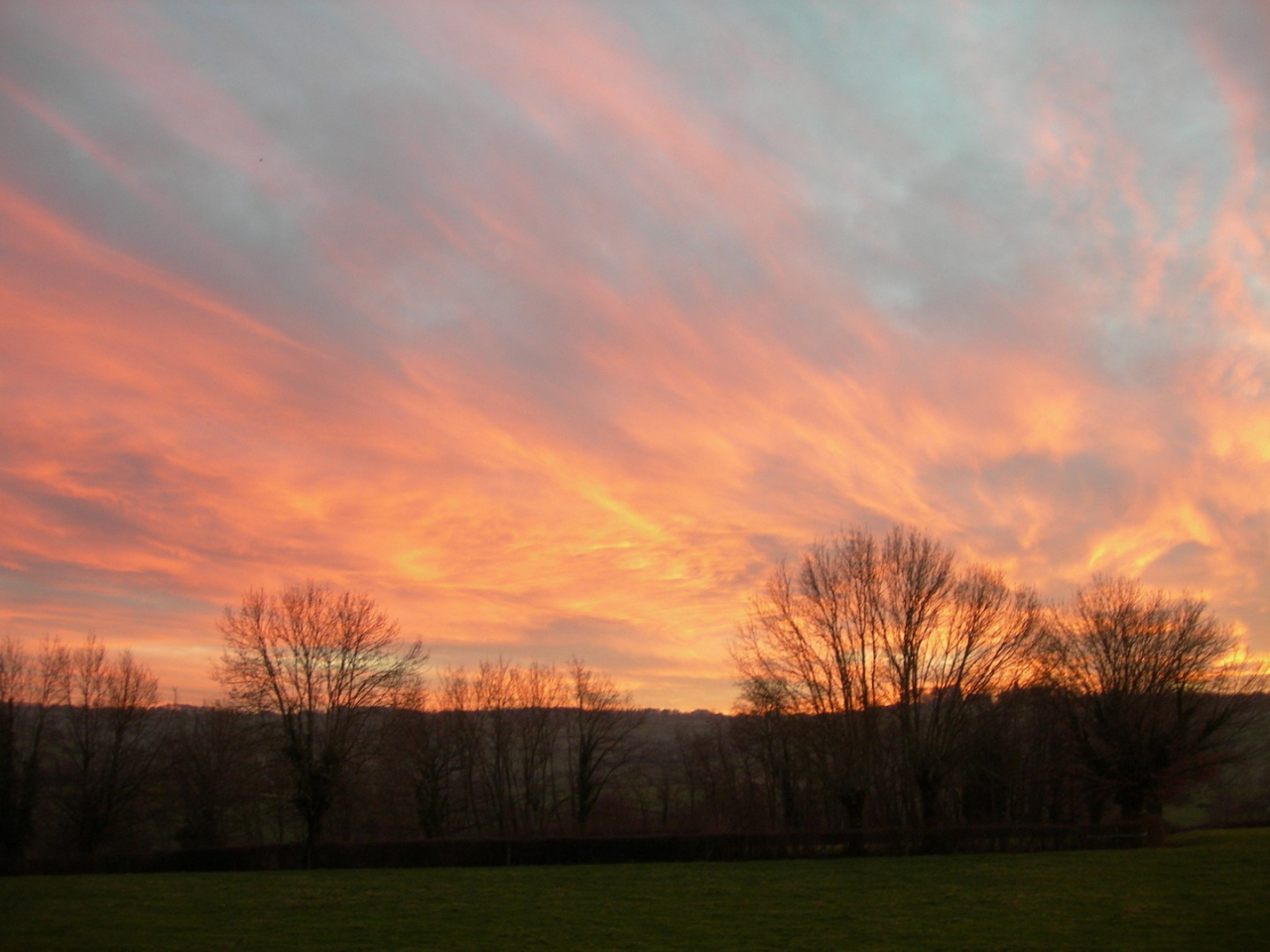 Photo Maison Brionnais - Annonce réf 1284