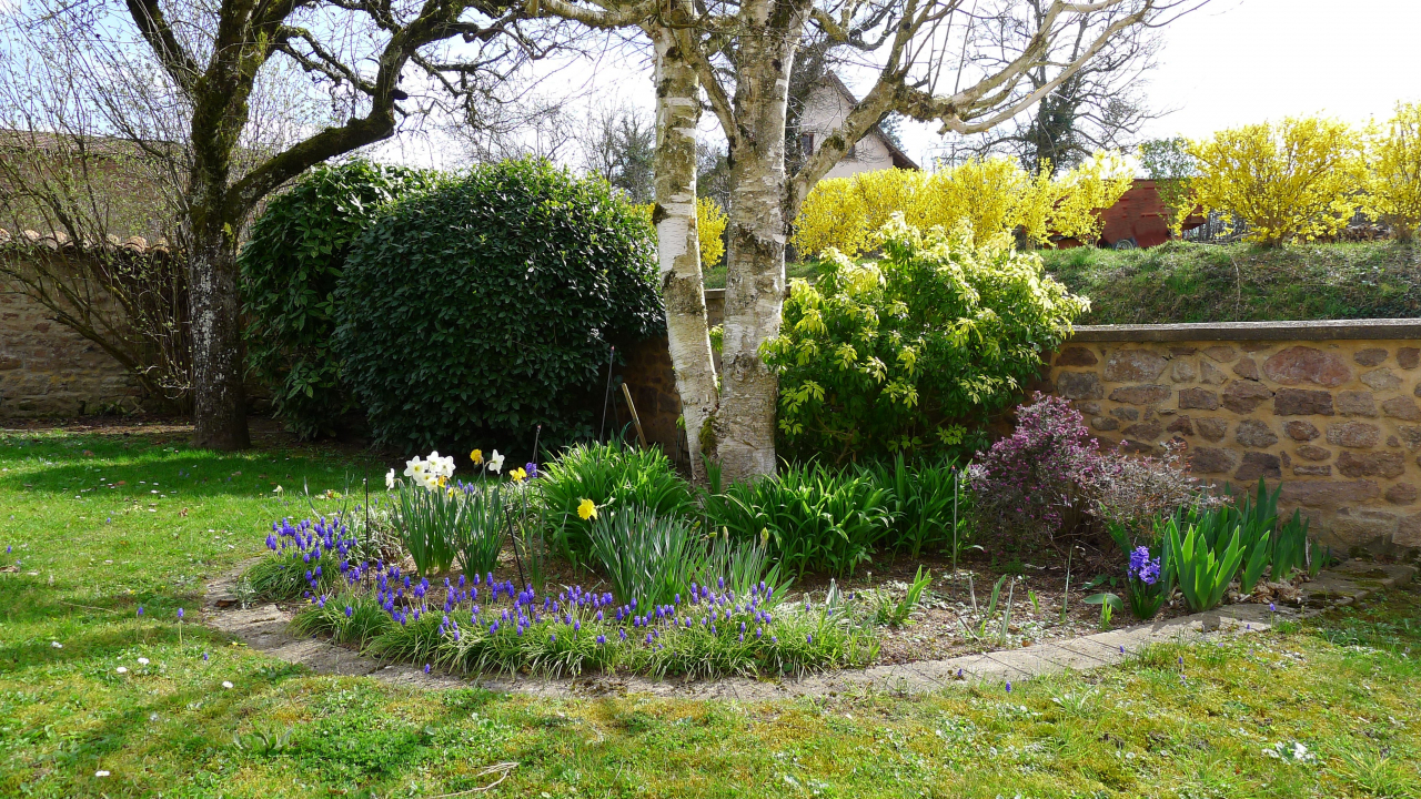 Photo Maison Brionnais - Annonce réf 1286