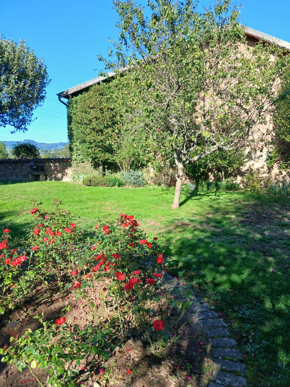 Photo Maison Brionnais - Annonce réf 1286